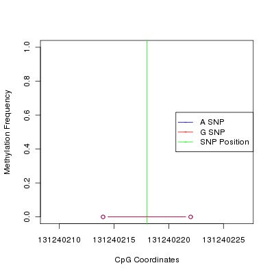 Allele Specific Methylation Frequency Diagram for chr12 131240218 SNP.