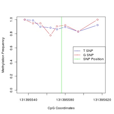 Allele Specific Methylation Frequency Diagram for chr12 131395576 SNP.