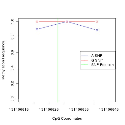 Allele Specific Methylation Frequency Diagram for chr12 131406628 SNP.