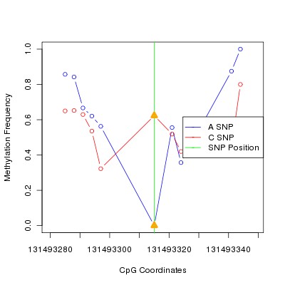 Allele Specific Methylation Frequency Diagram for chr12 131493315 SNP.