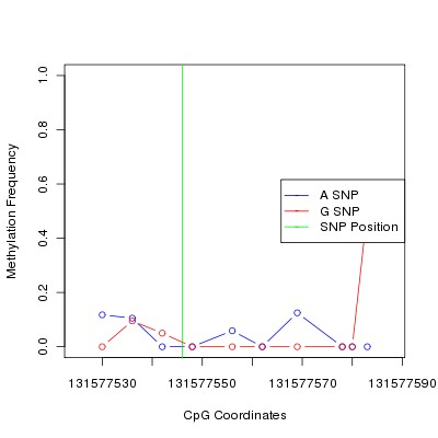 Allele Specific Methylation Frequency Diagram for chr12 131577546 SNP.