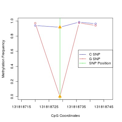 Allele Specific Methylation Frequency Diagram for chr12 131818729 SNP.