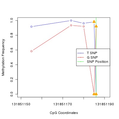 Allele Specific Methylation Frequency Diagram for chr12 131851186 SNP.