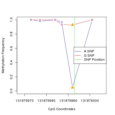 Allele Specific Methylation Frequency Diagram for chr12 131875993 SNP.