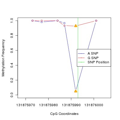Allele Specific Methylation Frequency Diagram for chr12 131875993 SNP.