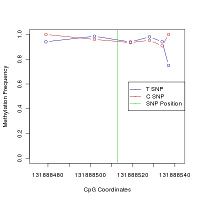 Allele Specific Methylation Frequency Diagram for chr12 131888513 SNP.