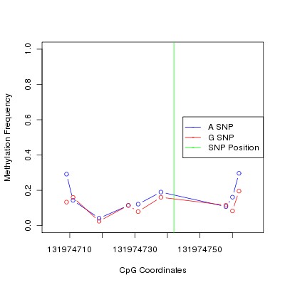 Allele Specific Methylation Frequency Diagram for chr12 131974742 SNP.