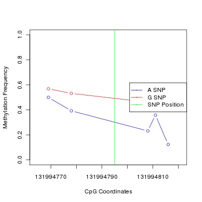 Allele Specific Methylation Frequency Diagram for chr12 131994795 SNP.