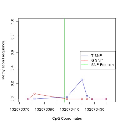 Allele Specific Methylation Frequency Diagram for chr12 132073406 SNP.
