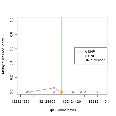 Allele Specific Methylation Frequency Diagram for chr12 132124412 SNP.