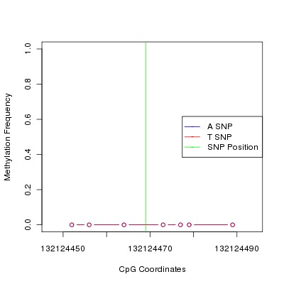 Allele Specific Methylation Frequency Diagram for chr12 132124469 SNP.