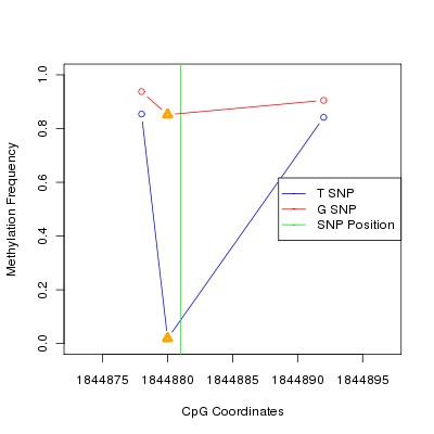 Allele Specific Methylation Frequency Diagram for chr12 1844881 SNP.