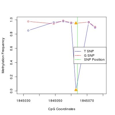 Allele Specific Methylation Frequency Diagram for chr12 1845064 SNP.