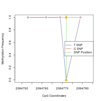 Allele Specific Methylation Frequency Diagram for chr12 2094772 SNP.