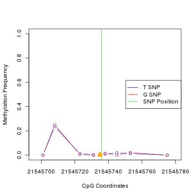 Allele Specific Methylation Frequency Diagram for chr12 21545736 SNP.