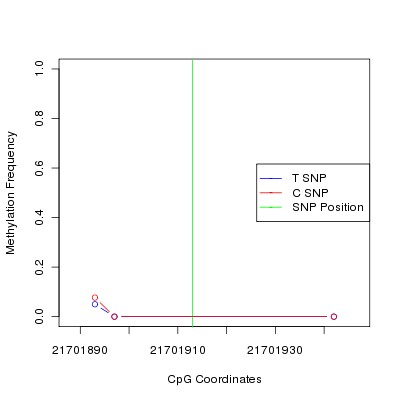 Allele Specific Methylation Frequency Diagram for chr12 21701913 SNP.