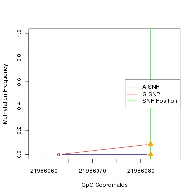 Allele Specific Methylation Frequency Diagram for chr12 21986082 SNP.