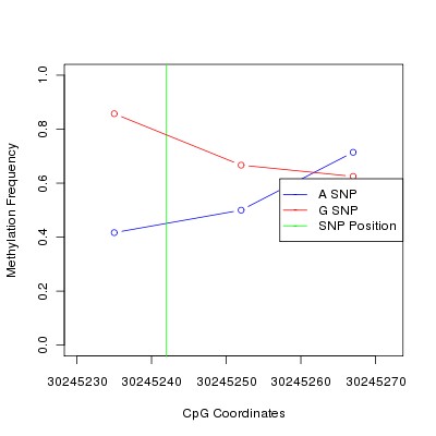 Allele Specific Methylation Frequency Diagram for chr12 30245242 SNP.