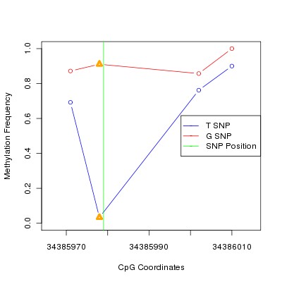 Allele Specific Methylation Frequency Diagram for chr12 34385979 SNP.