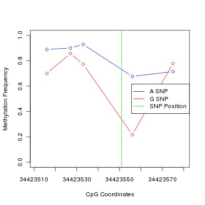 Allele Specific Methylation Frequency Diagram for chr12 34423551 SNP.