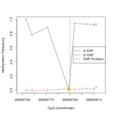 Allele Specific Methylation Frequency Diagram for chr12 36996790 SNP.