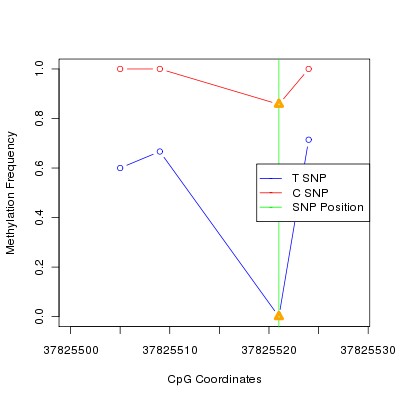 Allele Specific Methylation Frequency Diagram for chr12 37825521 SNP.