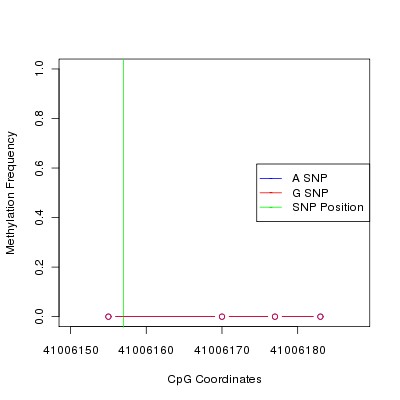 Allele Specific Methylation Frequency Diagram for chr12 41006157 SNP.