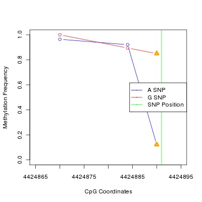 Allele Specific Methylation Frequency Diagram for chr12 4424891 SNP.