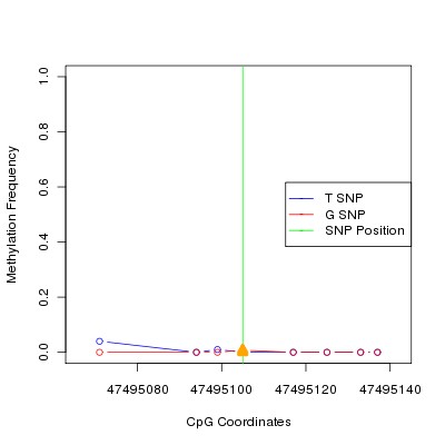 Allele Specific Methylation Frequency Diagram for chr12 47495105 SNP.