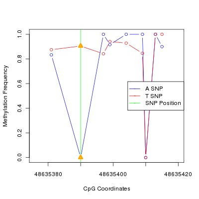 Allele Specific Methylation Frequency Diagram for chr12 48635390 SNP.