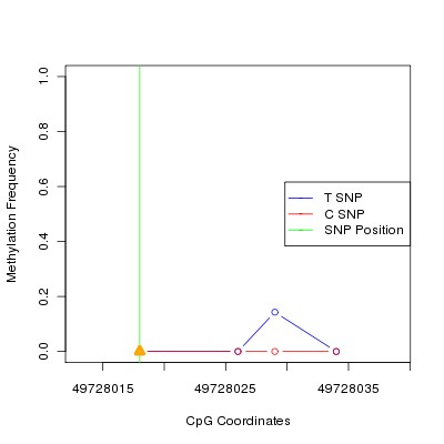 Allele Specific Methylation Frequency Diagram for chr12 49728018 SNP.