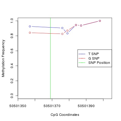 Allele Specific Methylation Frequency Diagram for chr12 50501369 SNP.