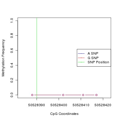 Allele Specific Methylation Frequency Diagram for chr12 50528390 SNP.
