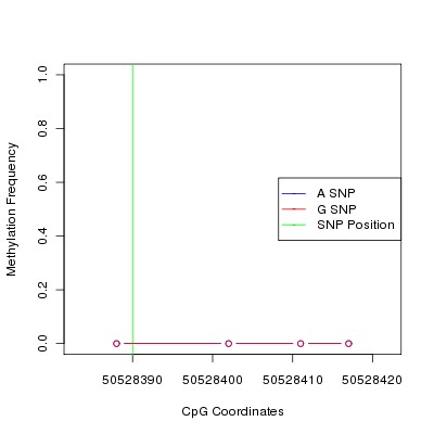 Allele Specific Methylation Frequency Diagram for chr12 50528390 SNP.