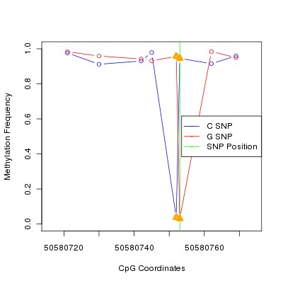 Allele Specific Methylation Frequency Diagram for chr12 50580753 SNP.