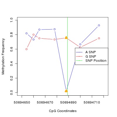 Allele Specific Methylation Frequency Diagram for chr12 50694689 SNP.