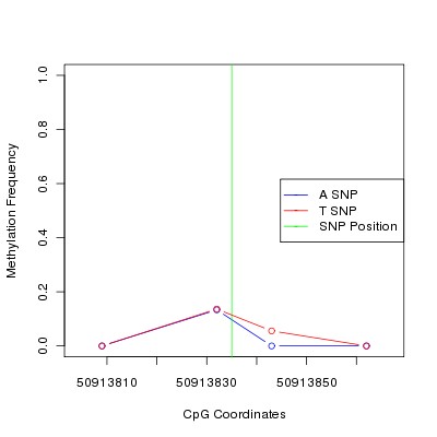 Allele Specific Methylation Frequency Diagram for chr12 50913835 SNP.