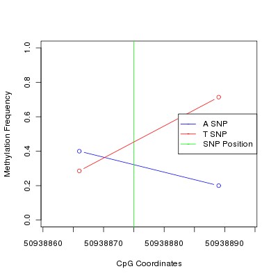 Allele Specific Methylation Frequency Diagram for chr12 50938875 SNP.