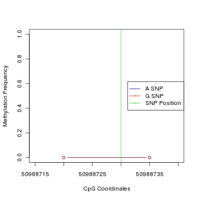 Allele Specific Methylation Frequency Diagram for chr12 50988730 SNP.