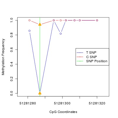 Allele Specific Methylation Frequency Diagram for chr12 51281287 SNP.
