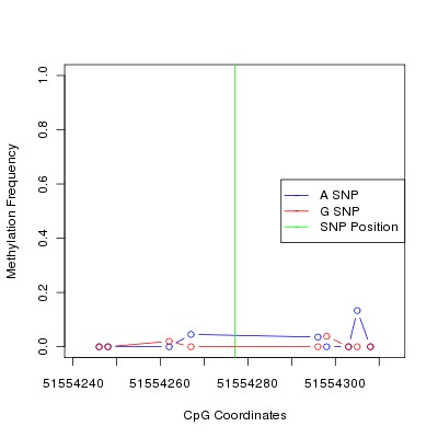 Allele Specific Methylation Frequency Diagram for chr12 51554277 SNP.