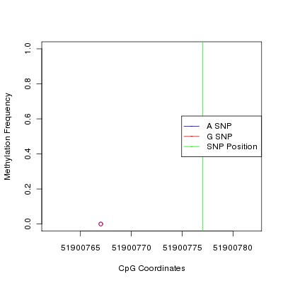 Allele Specific Methylation Frequency Diagram for chr12 51900777 SNP.