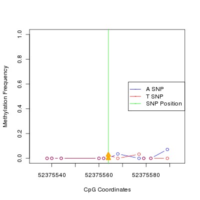 Allele Specific Methylation Frequency Diagram for chr12 52375564 SNP.