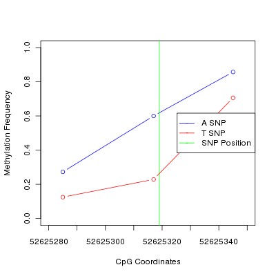 Allele Specific Methylation Frequency Diagram for chr12 52625319 SNP.