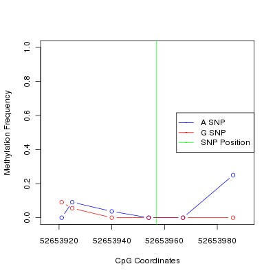 Allele Specific Methylation Frequency Diagram for chr12 52653957 SNP.