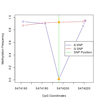 Allele Specific Methylation Frequency Diagram for chr12 5474196 SNP.