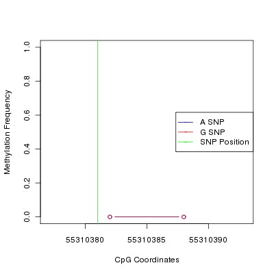 Allele Specific Methylation Frequency Diagram for chr12 55310381 SNP.