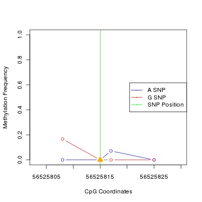 Allele Specific Methylation Frequency Diagram for chr12 56525815 SNP.