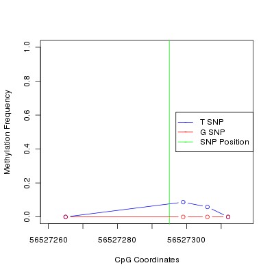 Allele Specific Methylation Frequency Diagram for chr12 56527295 SNP.