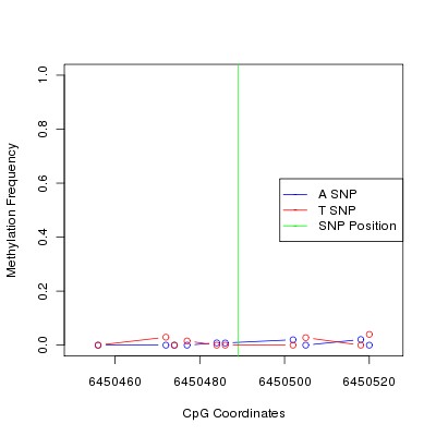 Allele Specific Methylation Frequency Diagram for chr12 6450489 SNP.